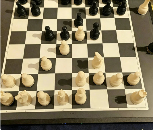 Šah s trdnimi magnetnimi figurami | GRIPCHESS